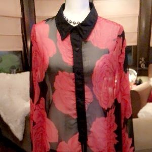Dalin Ladies sheer blouse